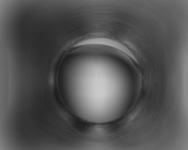 X0000089460064200706291508