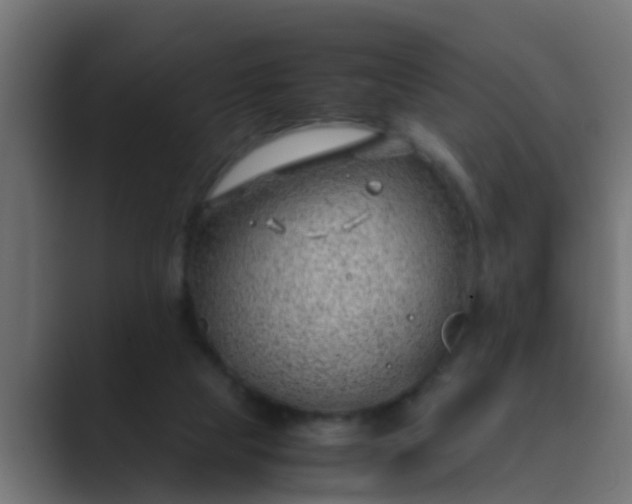 X0000089460065200706291508