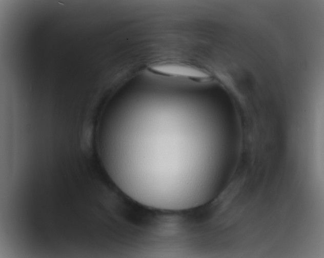 X0000089460066200706291508