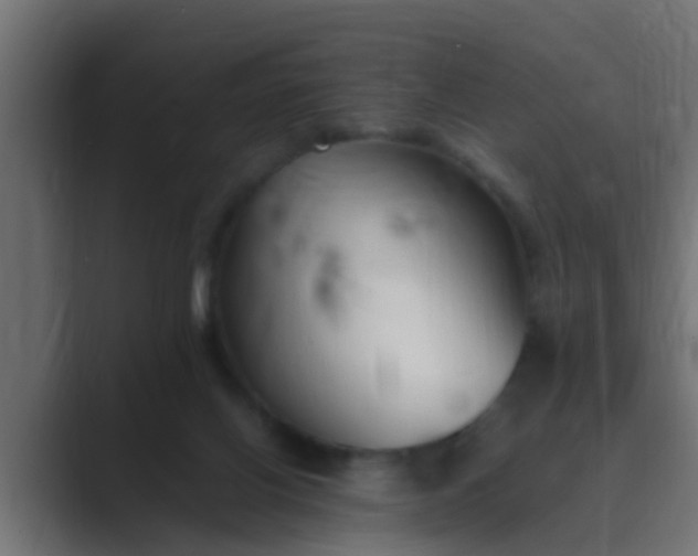 X0000089460070200706291509