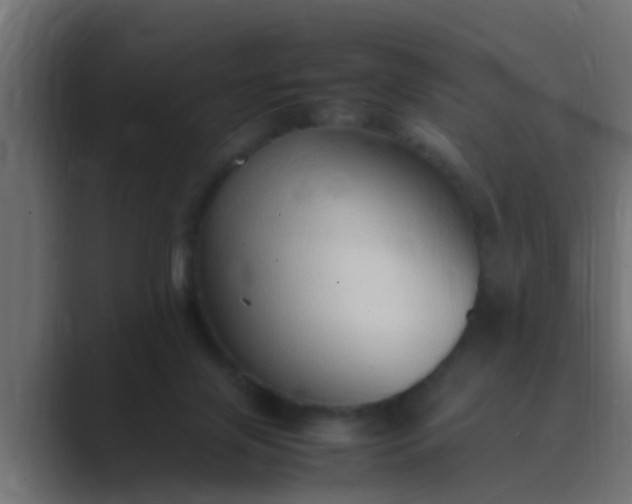 X0000089460071200706291509