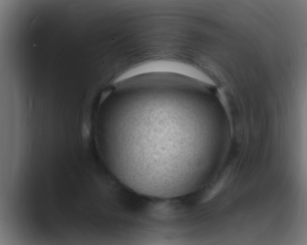 X0000089460072200706291509
