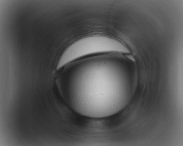 X0000089460073200706291509