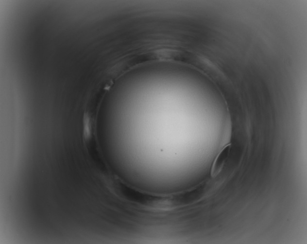 X0000089460075200706291509