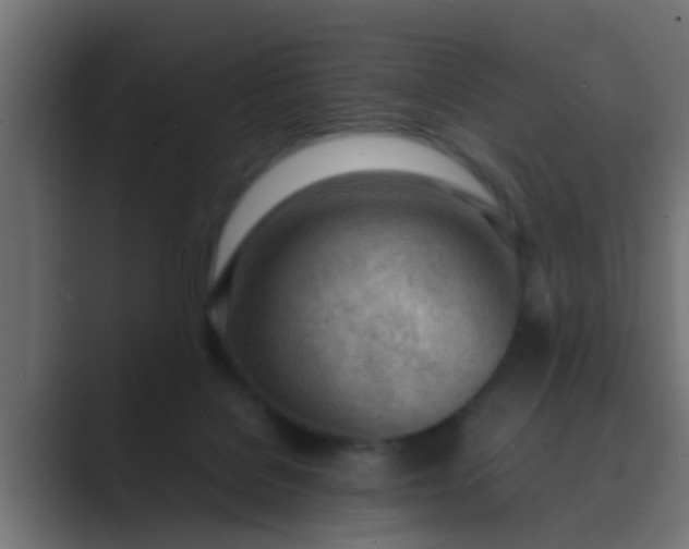 X0000089460076200706291509