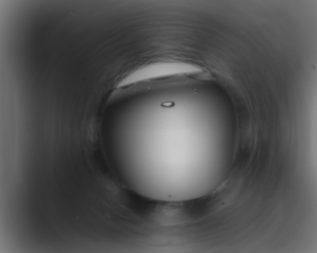 X0000089460078200706291509