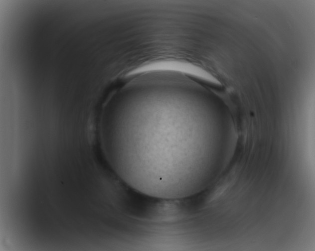 X0000089460080200706291509