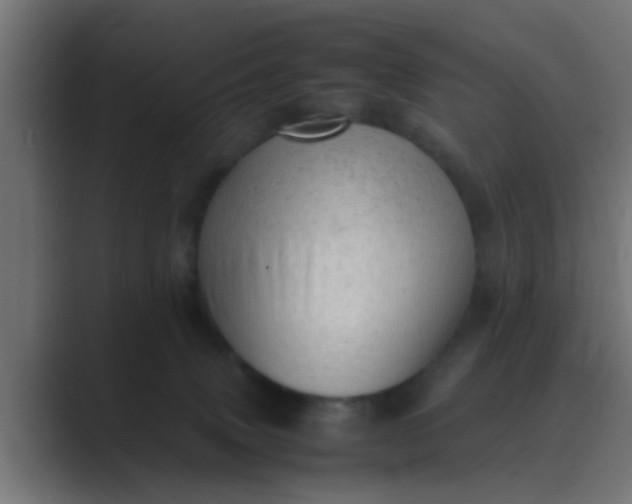 X0000089460083200706291509