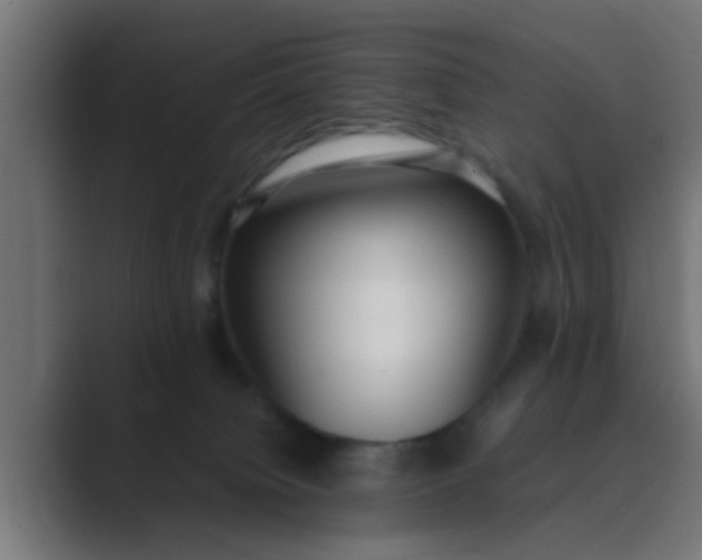 X0000089460084200706291509