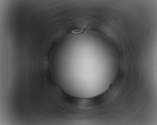 X0000089460085200706291509