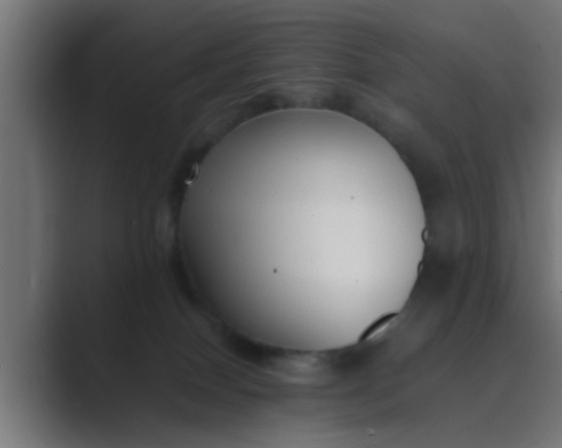 X0000089460086200706291509