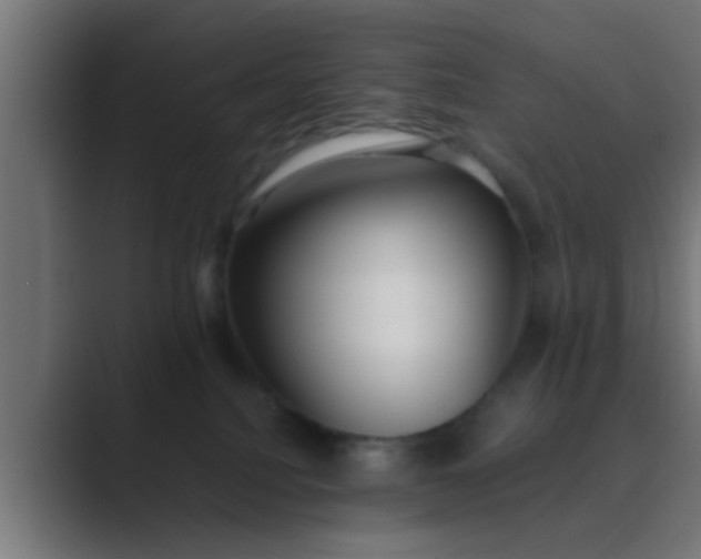 X0000089460088200706291509