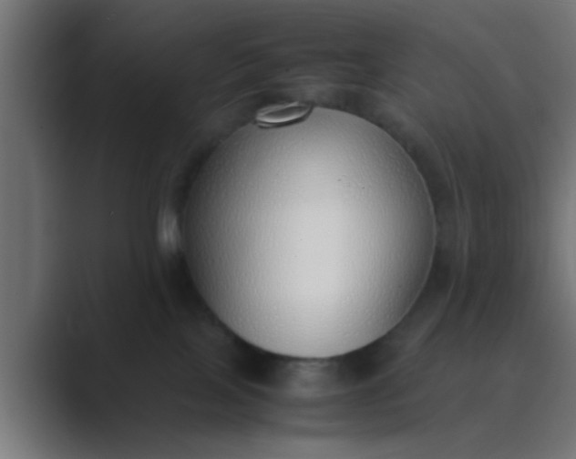 X0000089460089200706291509