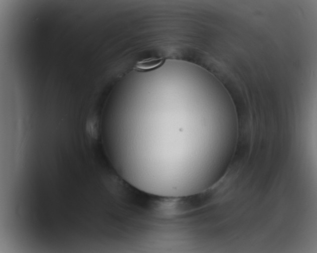 X0000089460090200706291509