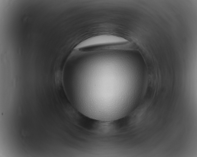 X0000089460093200706291509