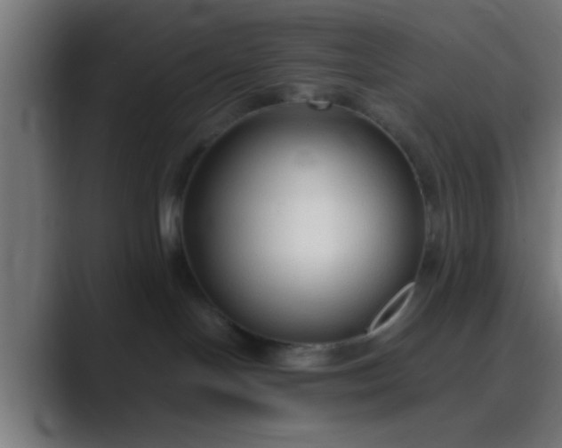 X0000089460094200706291509