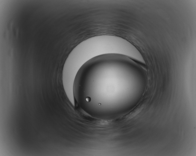 X0000089460096200706291509