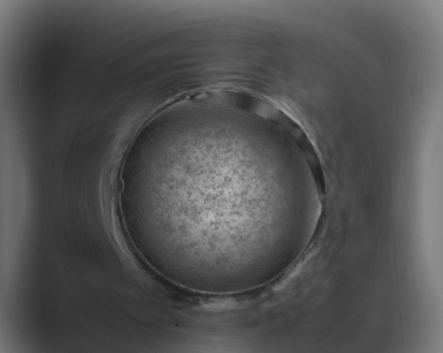 X0000089460097200706291508
