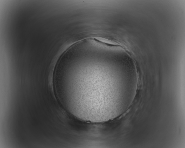 X0000089460099200706291508
