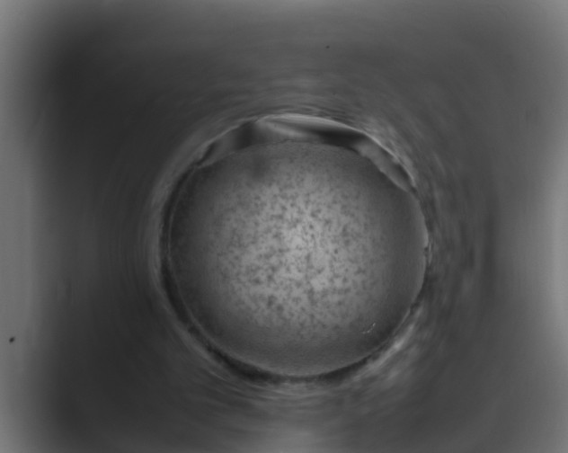 X0000089460101200706291508