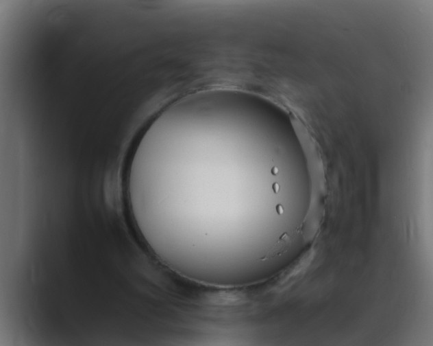 X0000089460102200706291508
