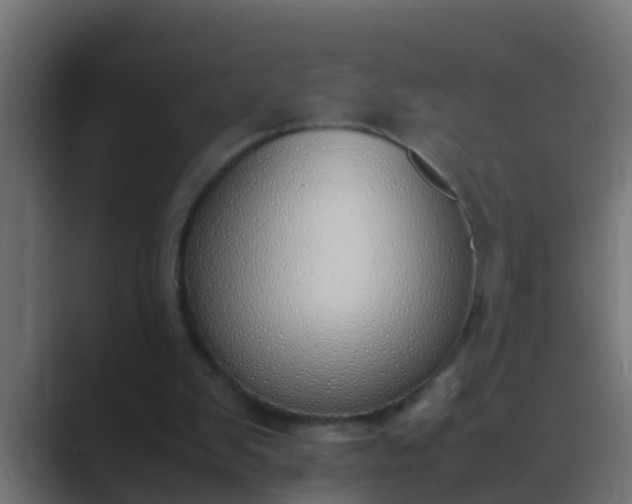 X0000089460103200706291508