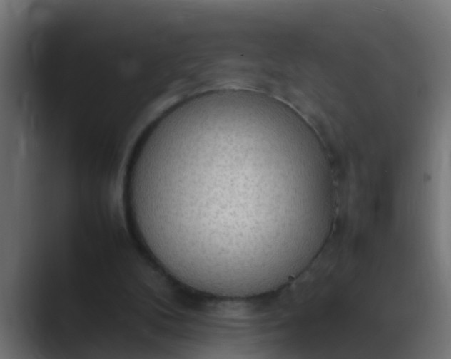 X0000089460104200706291508