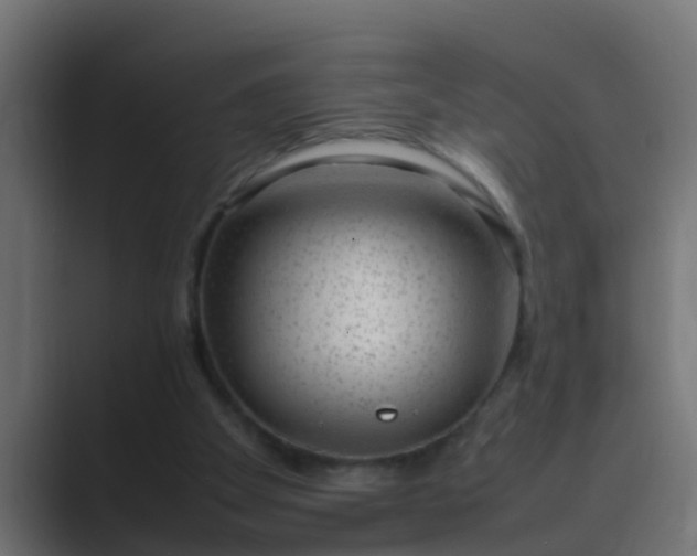 X0000089460105200706291508