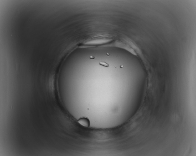 X0000089460106200706291508