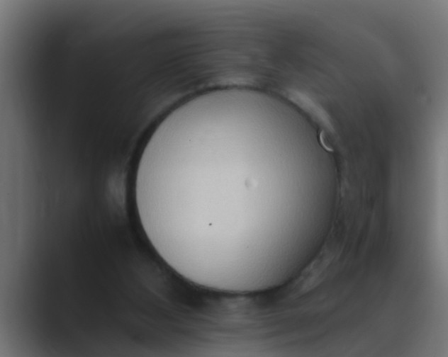 X0000089460108200706291508