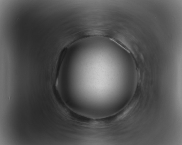 X0000089460109200706291508