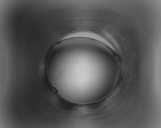 X0000089460113200706291508