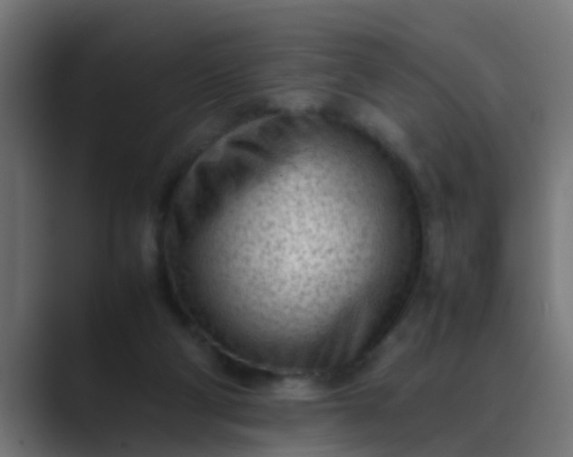 X0000089460114200706291508