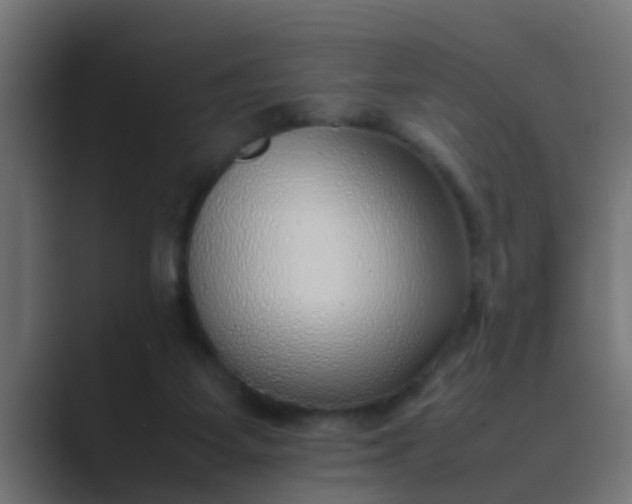 X0000089460115200706291508