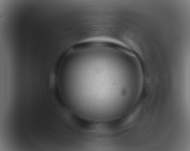 X0000089460117200706291508