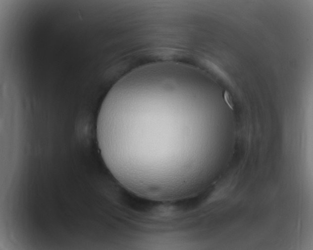 X0000089460119200706291508