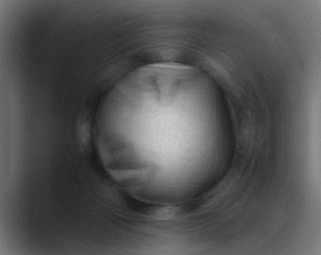 X0000089460122200706291508