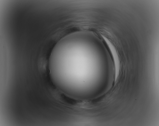 X0000089460125200706291508