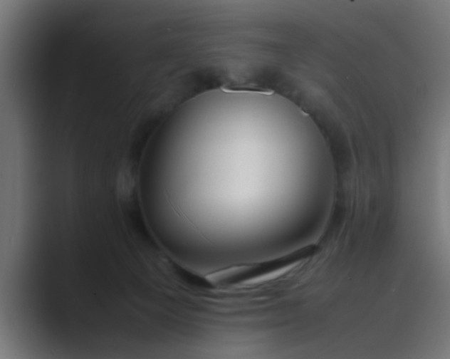 X0000089460129200706291508