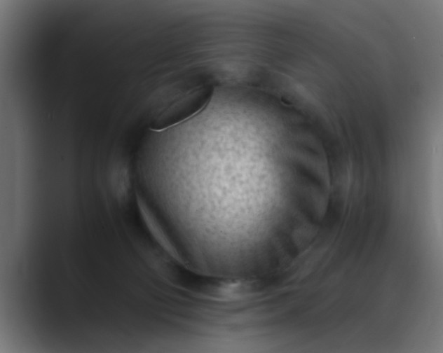 X0000089460130200706291508