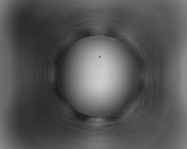 X0000089460133200706291508