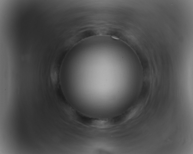 X0000089460139200706291508