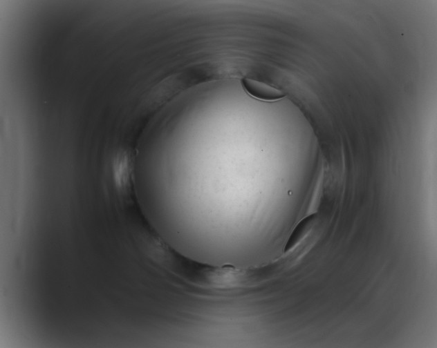 X0000089460142200706291508