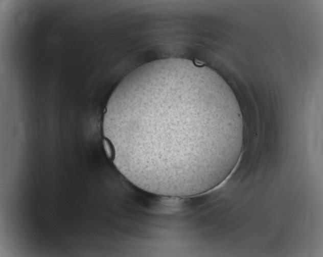 X0000089460144200706291508