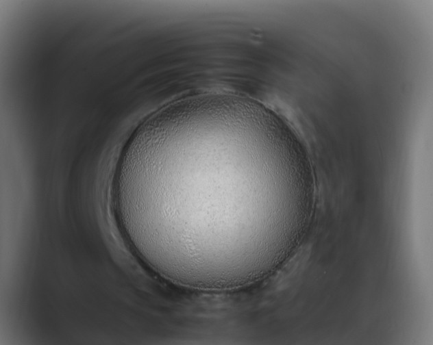X0000089460145200706291507