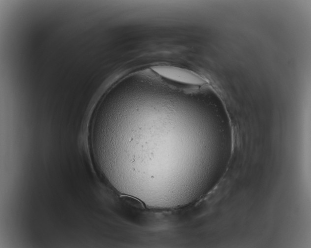 X0000089460147200706291507