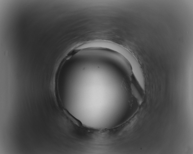 X0000089460148200706291507