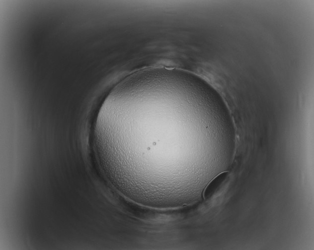 X0000089460149200706291507