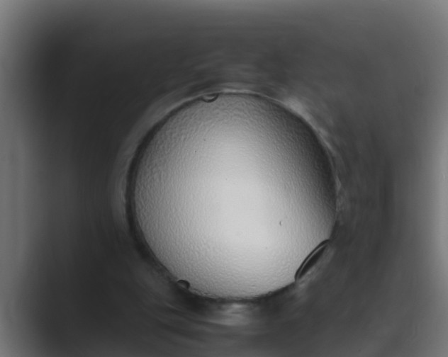 X0000089460151200706291507