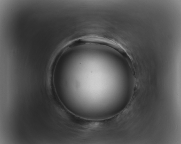 X0000089460152200706291507